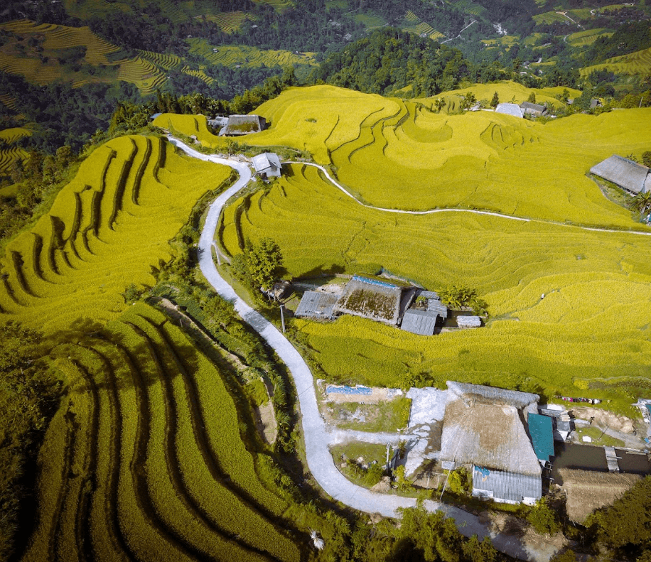 Ruộng Bậc Thang - Lùng Vài - Phương Độ - Hà Giang