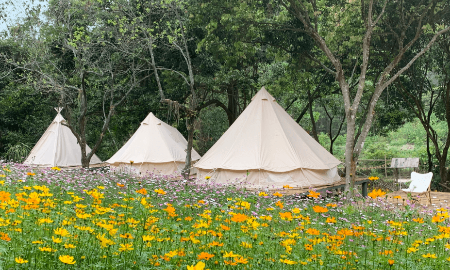 Phượng Hoàng Homestay - Tp.Hạ Long - Quảng Ninh
