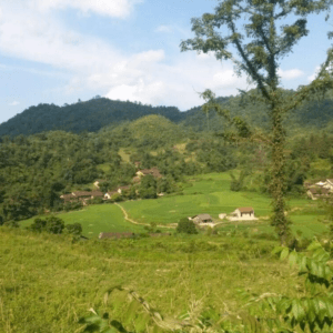 Bản Thuôn - Trùng Khánh - Cao Bằng