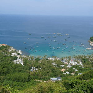 Bãi Ngự