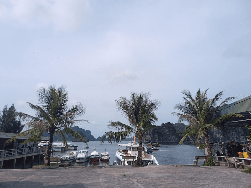 Bến tàu Vũng Đục