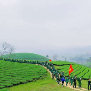 Đồi Chè Long Cốc - Tân Sơn - Phú Thọ