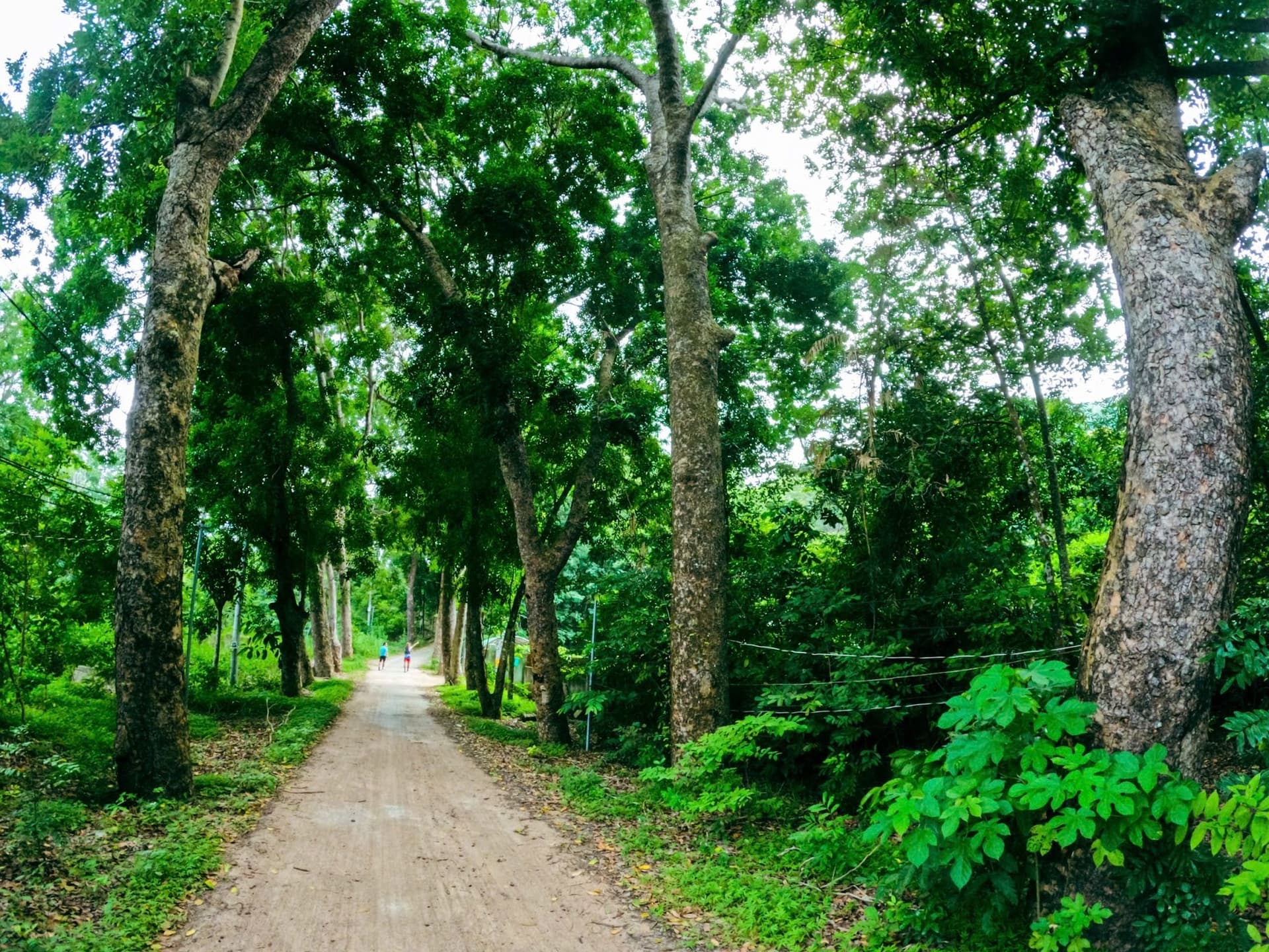Núi Dinh - New Route