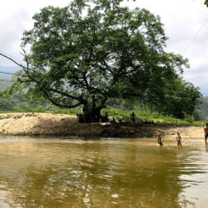 Cắm trại gốc sung - Vị Xuyên - Hà Giang