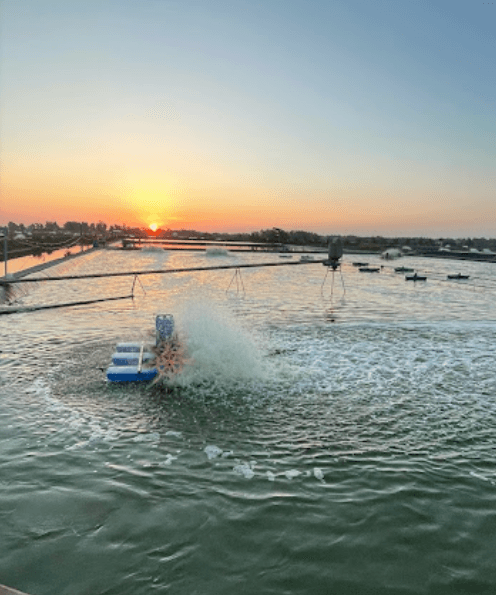 Đầm Tôm Ông Toán - Móng Cái - Quảng Ninh
