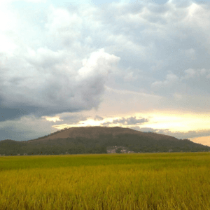 Núi Đọ - Thiệu Hoá - Thanh Hoá
