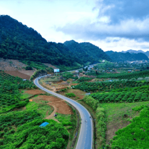 Chữ S huyền thoại