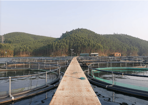 Cảng Hương Lý - Yên Bình - Yên Bái