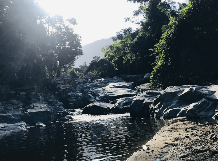Khu sinh thái Muồng Hoa Đào