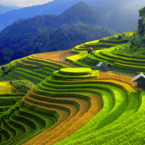 Ruộng bậc thang Mù Cang Chải