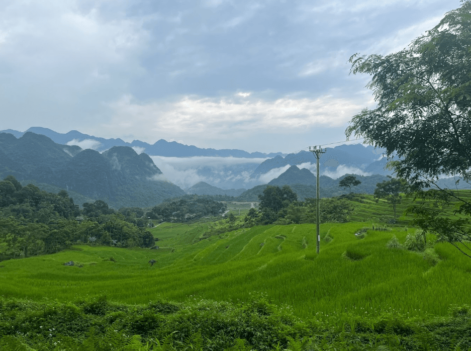 Ban Leo rice field - Bá Thước - Thanh Hoá