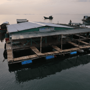 Bãi tắm Sao Biển (Vũng Trâu Nằm)