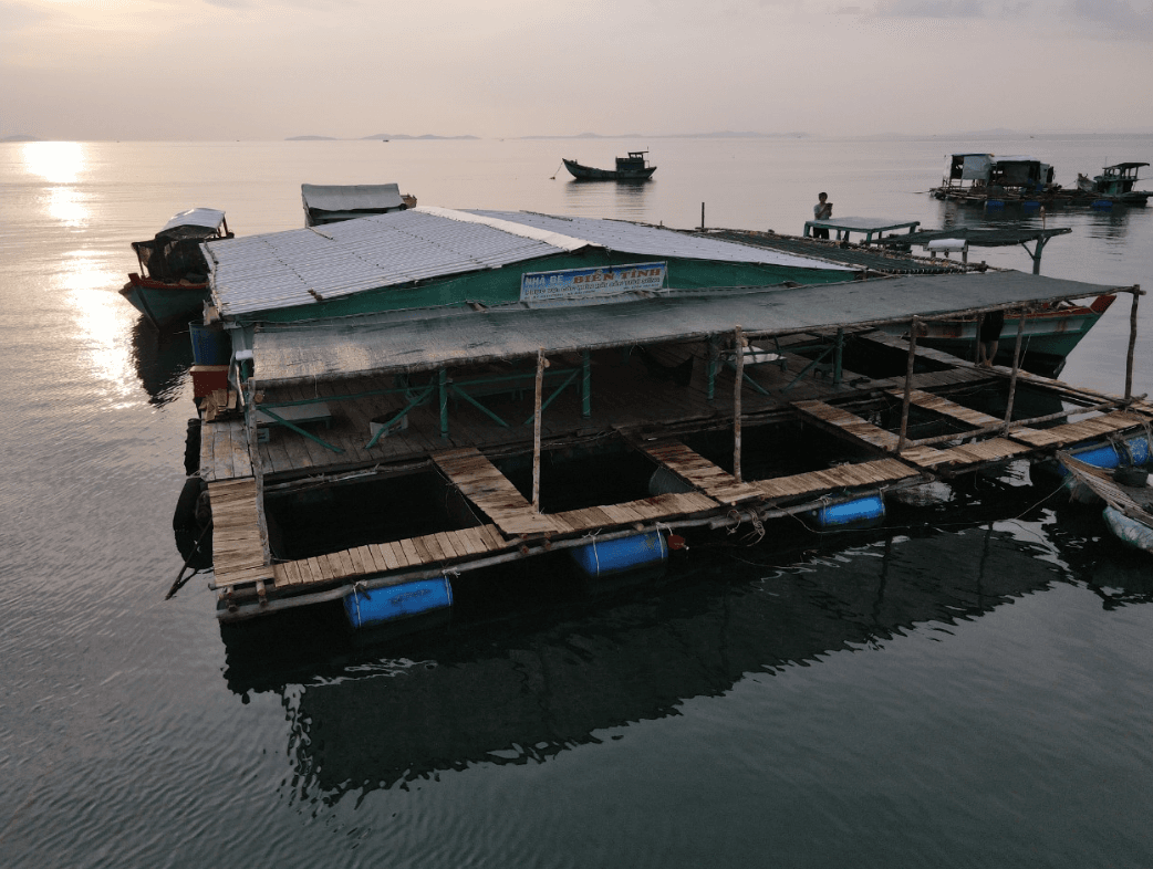 Bãi tắm Sao Biển (Vũng Trâu Nằm)