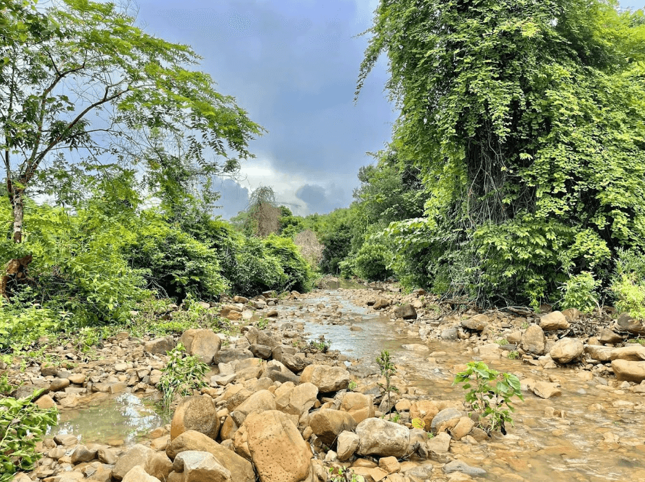 Suối Rào Đá Khe Nước Lạnh