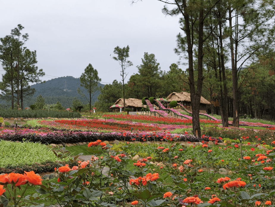 Công viên hoa Yên Trung Lake - Uông Bí - Quảng Ninh