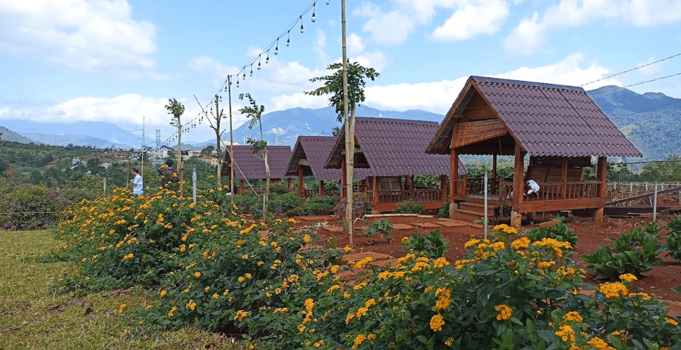 Vườn hoa Chân Trời - Hướng Hóa - Quảng Trị