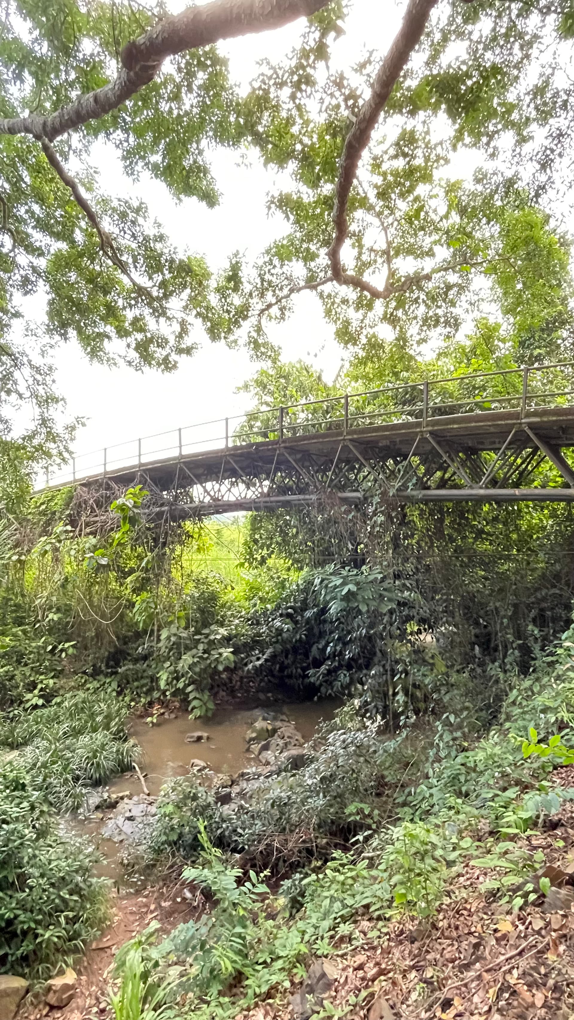 Thác Hoà Bình - Sông Ray - Bà Rịa Vũng Tàu