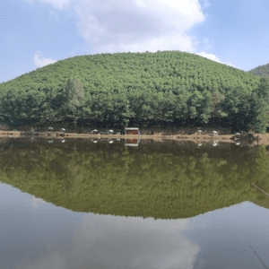 Hồ Câu Đập Đẫu - Đoan Hùng - Phú Thọ