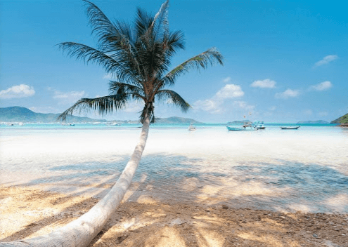 Bãi biển Bai Cay Dua