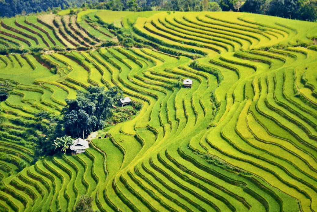 Ruộng Bậc Thang Nàn Xỉn - Xín Mần - Hà Giang
