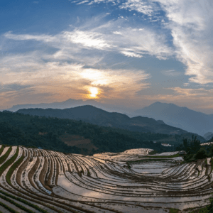 Ruộng Bậc Thang Ngải Thầu