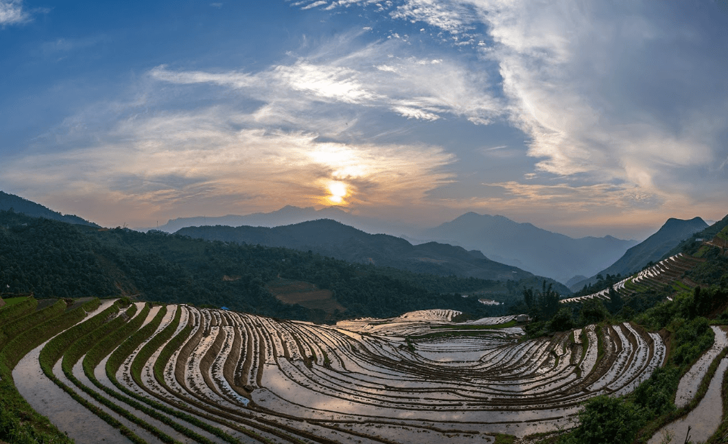 Ruộng Bậc Thang Ngải Thầu