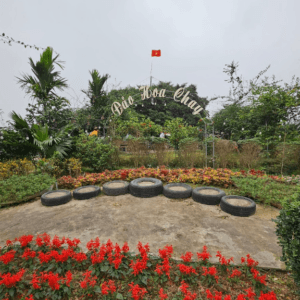 Đảo hoa Chay - Thái Nguyên