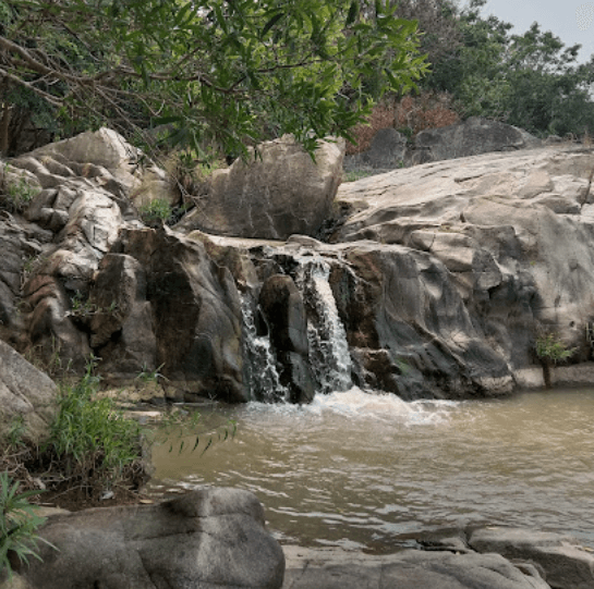 Du lịch sinh thái Suối Thương