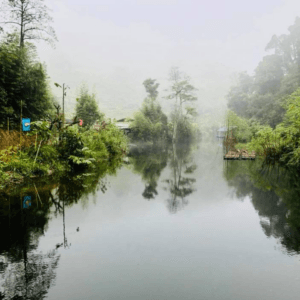 Du Lịch Tả Phìn Hồ - Hoàng Su Phì - Hà Giang