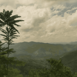 Đèo Cao Bắc - Nguyên Bình - Cao Bằng