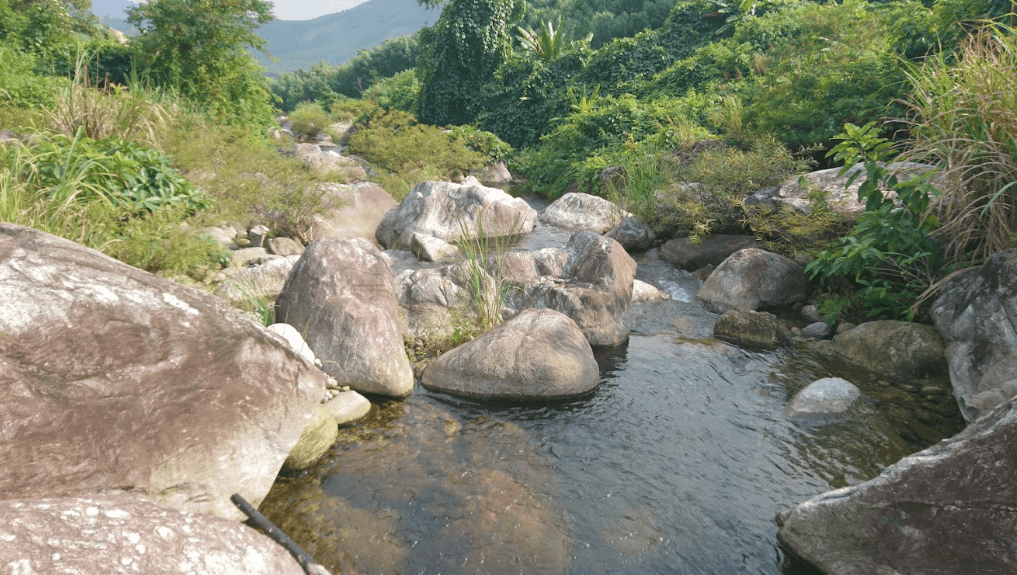 Suối Gò Nay