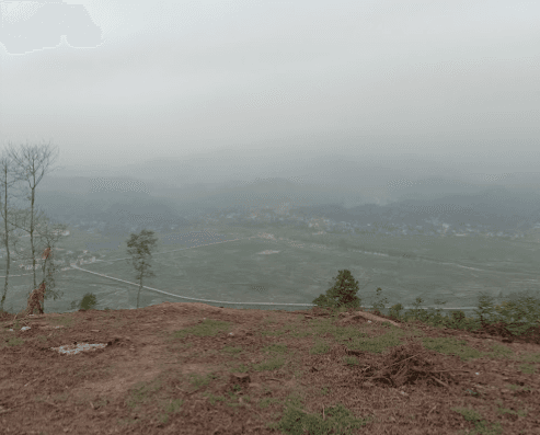Đồi Cà - Tân Sơn - Phú Thọ