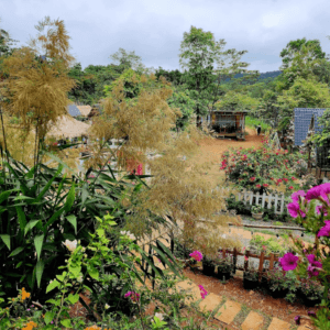 Khe Sanh Valley Farm - Hướng Hóa - Quảng Trị