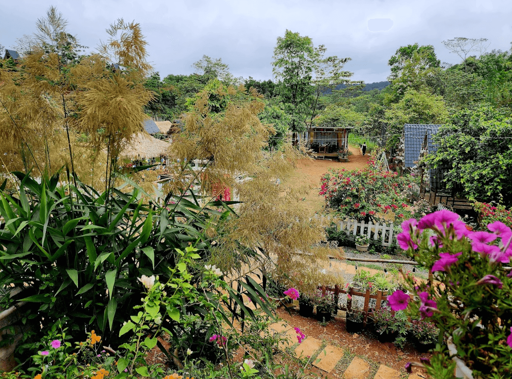 Khe Sanh Valley Farm - Hướng Hóa - Quảng Trị