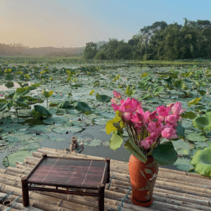 Hồ Sen An Khang - An Khang - Tuyên Quang