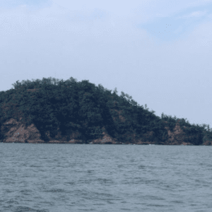 Đảo Nẹ - Hậu Lộc - Thanh Hoá