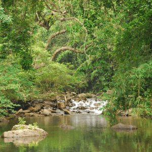 Khu du lịch sinh thái Khe Rỗ