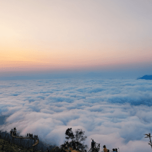 Săn Mây Hang Kia