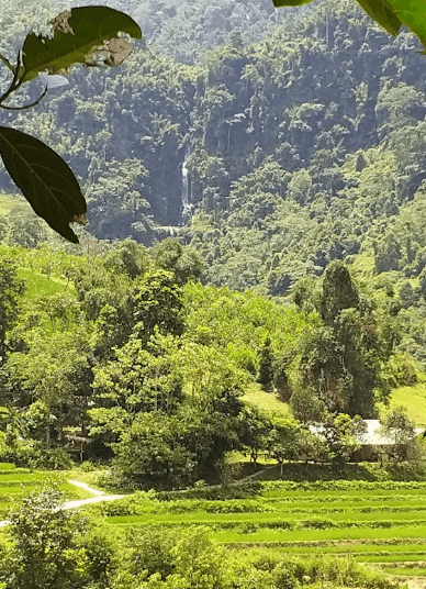 Thác Tắt Pung Tuyên Quang