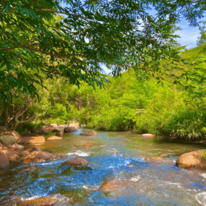 Suối Đôi Vạn Bình