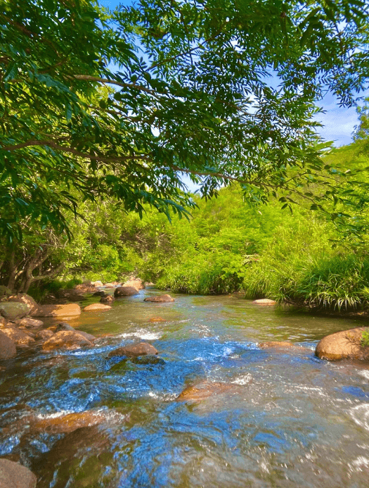 Suối Đôi Vạn Bình