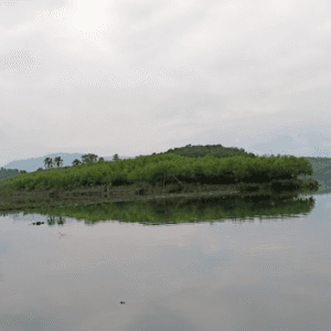Hồ Đập Trằm Chì - Hạ Hòa - Phú Thọ