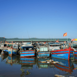 Cảng Cá Quỳnh Phương - Quỳnh Lưu - Nghệ An