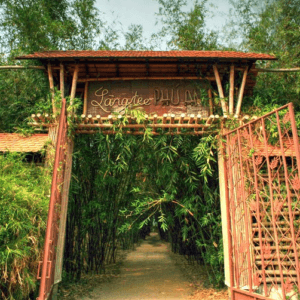 Làng tre Phú An