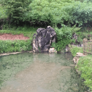 Suối nước nóng Chiềng Phung