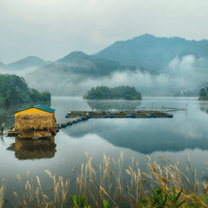 Vườn Quốc gia Xuân Sơn - Tân Sơn - Phú Thọ