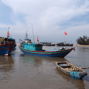 Cảng Cá Hoằng Trường
