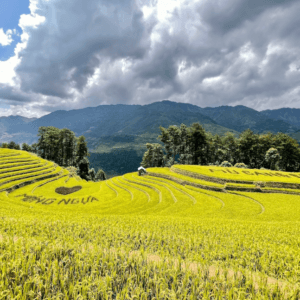 Vành móng ngựa