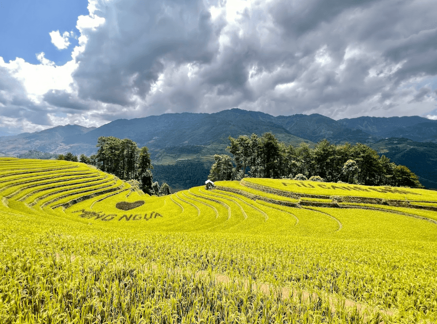 Vành móng ngựa
