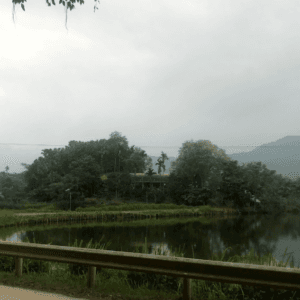 Đầm Ao Bèo - Yên Lập - Phú Thọ